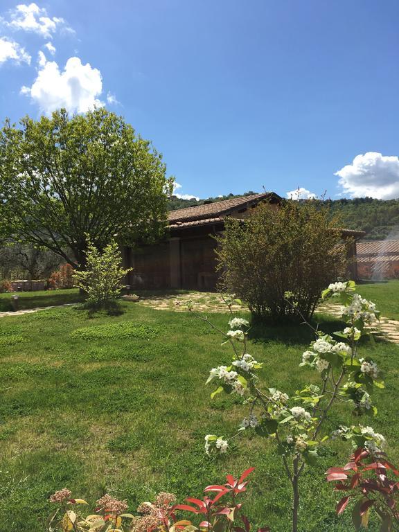 Agriturismo Mulin Di Mezzo Montefiascone Eksteriør billede
